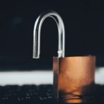 unsplash_233.jpg